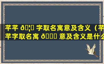 芊芊 🦄 字取名寓意及含义（芊芊字取名寓 🐘 意及含义是什么）